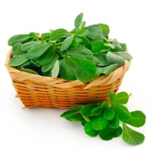 Fenugreek